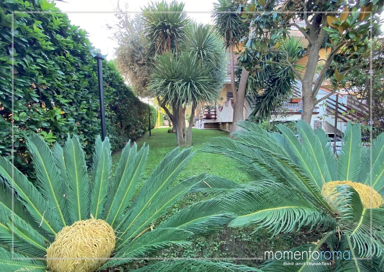 Momentoroma B&B Ciampino Italy